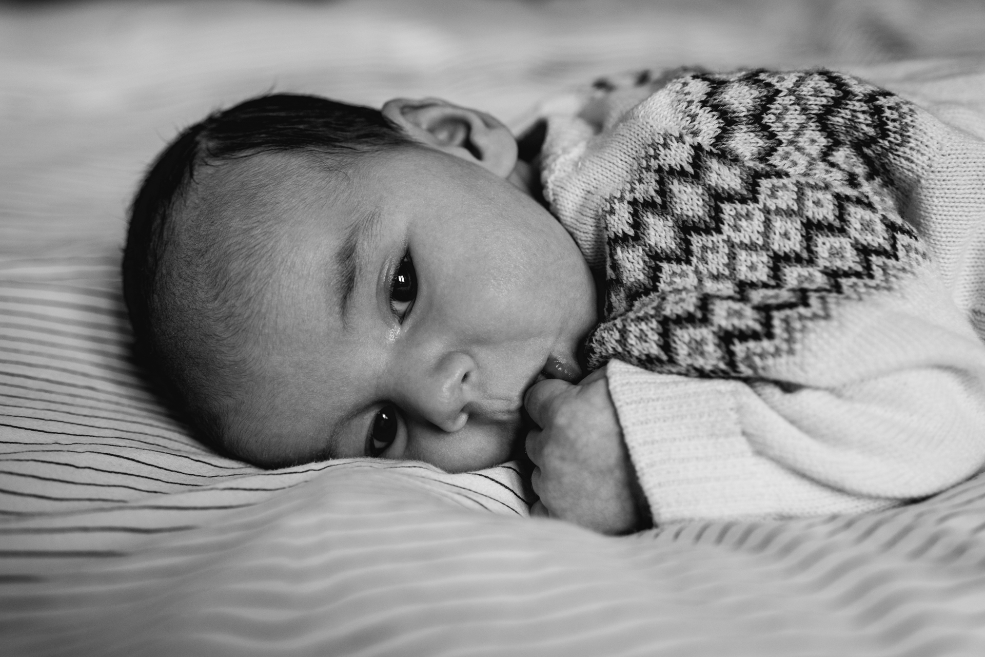 neugeborenen-fotograf-mödling
