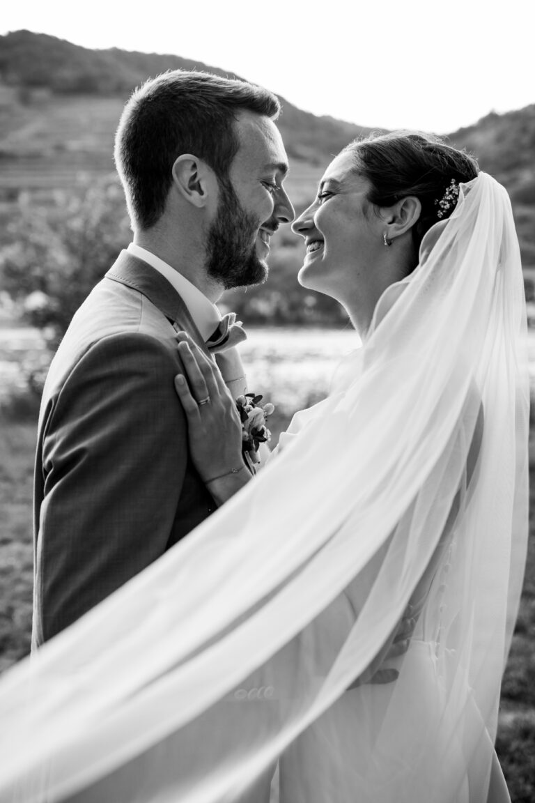 Hochzeitsfotograf Wien